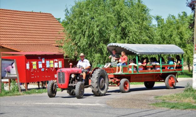 Apare un nou eveniment pentru turiștii din Banat, Picnic în Pustă