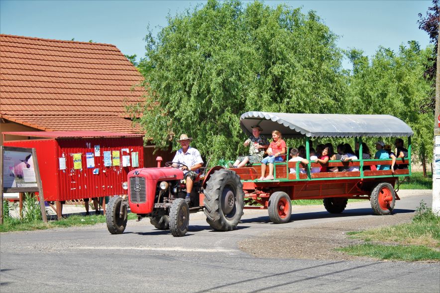 Apare un nou eveniment pentru turiștii din Banat, Picnic în Pustă