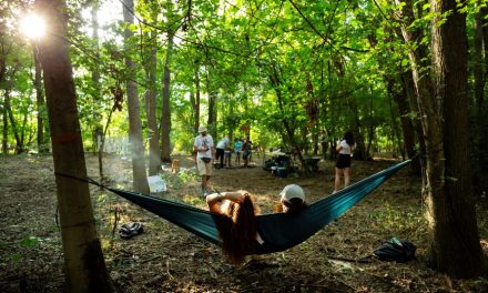 CODRU Festival extinde campania de donare de sânge Blood Rhythm la nivel național