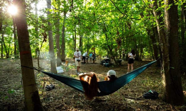 CODRU Festival extinde campania de donare de sânge Blood Rhythm la nivel național