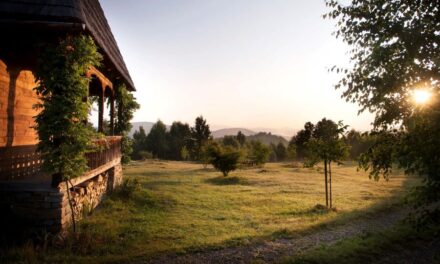 Domeniu de 94 de hectare, scos la vânzare în Maramureș