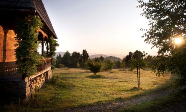 Domeniu de 94 de hectare, scos la vânzare în Maramureș