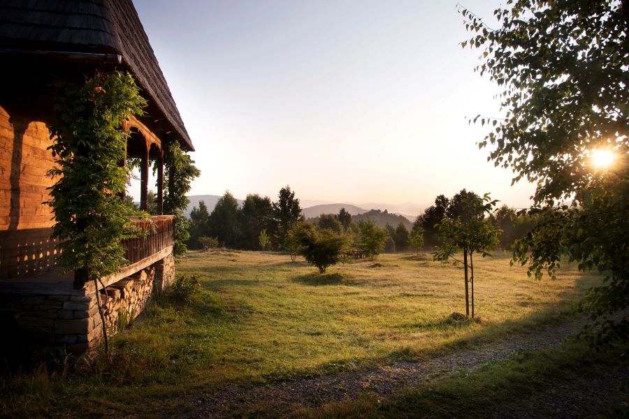 Domeniu de 94 de hectare, scos la vânzare în Maramureș