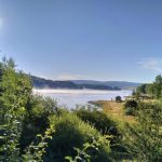 Au început lucrările celei de a 52-a ediții a Coloniei de Artă Vlasina, organizată de Centrul Cultural din Leskovac, Serbia