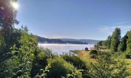 Au început lucrările celei de a 52-a ediții a Coloniei de Artă Vlasina, organizată de Centrul Cultural din Leskovac, Serbia