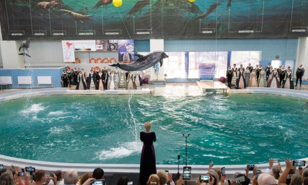 Madrigal și Cantus Mundi aduc 7 spectacole la SEAS 2025