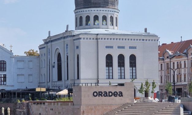 Békéscsaba şi Oradea intenţionează să reducă temperatura şi poluarea aerului