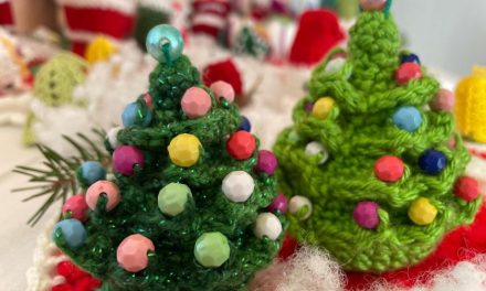 Sărbători de iarnă la Conacul Mocioni