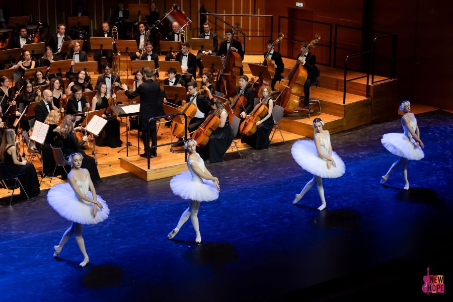 City break cultural la Timișoara: „Lacul Lebedelor” transformă Parcul Rozelor într-o scenă de poveste