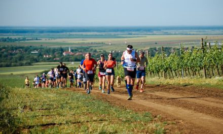 Turism activ în Timiș: Ultimele zile de înscriere la competiția „La Petrovaselo în vie”