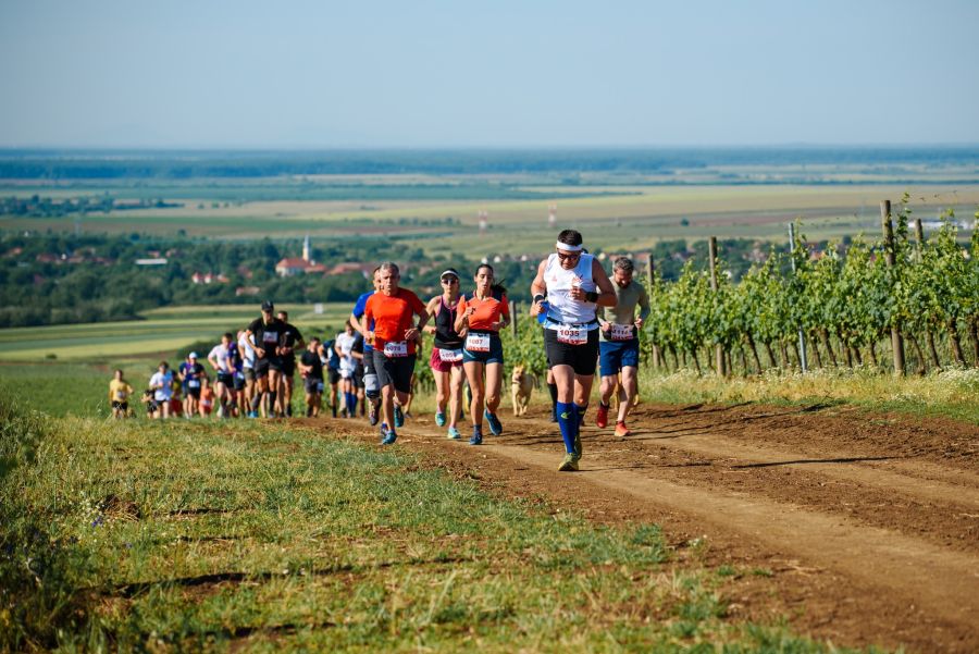 Turism activ în Timiș: Ultimele zile de înscriere la competiția „La Petrovaselo în vie”