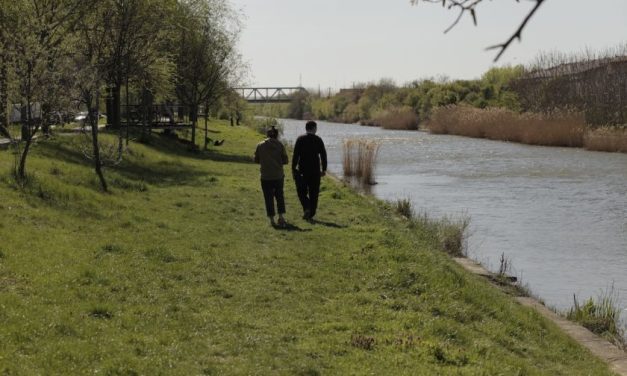 „Teren comun – peisaje pe Bega”: un proiect de artă și cercetare despre relația dintre oraș și natură