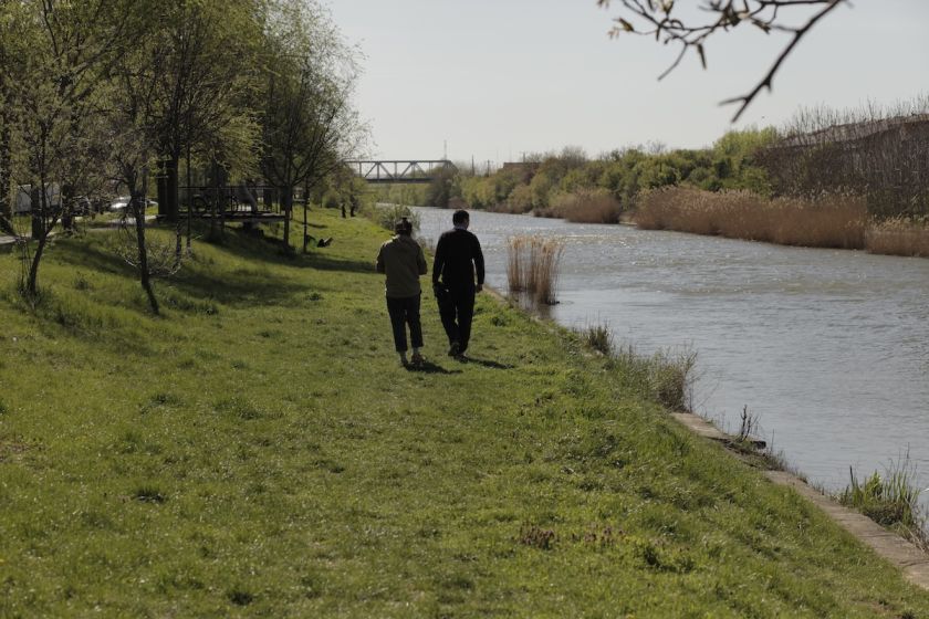 „Teren comun – peisaje pe Bega”: un proiect de artă și cercetare despre relația dintre oraș și natură