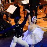 Lacul lebedelor în Timișoara: o versiune inedită, orchestră live și balet pe aceeași scenă