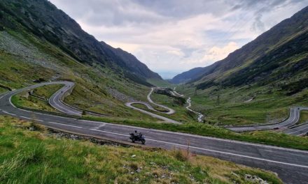 S-a deschis circulația rutieră pe Transfăgărășan! Hrănirea animalelor este interzisă