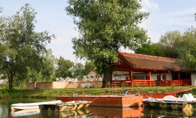 Un paradis din Delta Dunării se vinde la jumătate de preț. Oferta a atras toate privirile