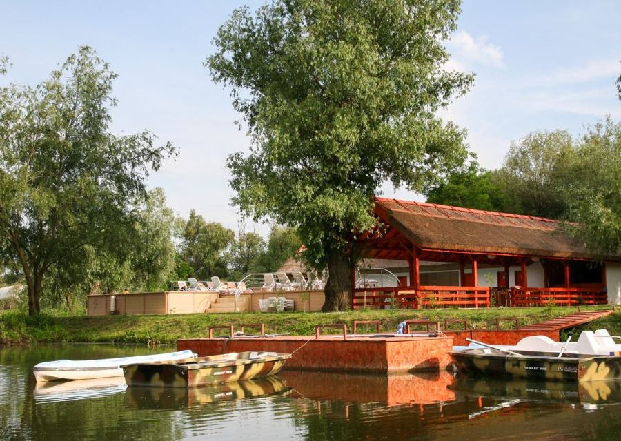 Un paradis din Delta Dunării se vinde la jumătate de preț. Oferta a atras toate privirile