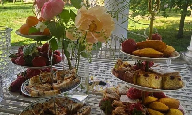 Banat Brunch la Conacul Zăgujeni – o experiență de vară cu gust de Banat